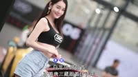 樊竹青-白龙马(DJR7Remix)户外美女车模dj视频下载