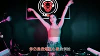 苏谭谭 - 归来仍少年 (DJR7版)国外夜店美女打碟车载视频