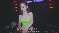 弹棉花的小花 - 须尽欢 (DJR7版)美女现场打碟dj视频下载