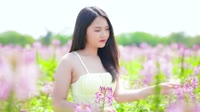 广东雨神 - 广东爱情故事(Dj培仔 Electro Rmx 2017)写真美女车载dj视频
