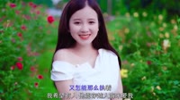 Avi-mp4-刘振宇 - 人生如歌 (DJR7版)美眉写真车载美女DJ舞曲下载