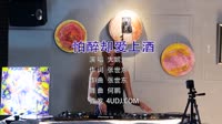 Avi-mp4-大妮儿 - 怕醉却爱上酒 (DJ何鹏版)美女打碟舞曲视频下载网站
