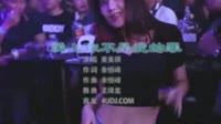 黄美琪 - 爱上你不是我的罪 (DJ王绎龙版)夜店美女DJ视频免费下载