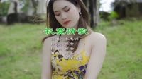 志洲 - 寂寞情歌 (DJ 阿圣版)dj舞曲MV MKV 下载