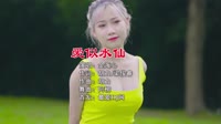 金海心 - 爱似水仙(Dj阿柳 FunkyHouse Mix国语女)咚鼓1080p高清MV下载