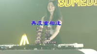 伍佰&China Blue - 再度重相逢（DJ辉总 ReMix)KTV包房DJ