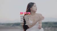 曲肖冰 - 静悄悄 (DJ小九 Electro Remix 2022)美女车载DJ视频