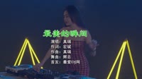真瑞 - 最美的瞬间（DJ辉总 ReMix)1080高清车载视频音乐