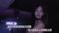 杨小壮 - 我曾为爱流过几滴泪 (DJR7车载版)高清DJ舞曲视频