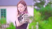 陈慧琳 - 记事本 (DJA5 ProgHouse Mix 2K22)DJ美女MV