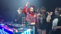 (DJ车载版 Mix)是七叔呢 - 燕无歇(McYaoyao Electro Mix国语男)车载DJ舞曲视频 未知 MV音乐在线观看