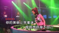 劲爆中文DJ-花心的人我问你 未知 MV音乐在线观看