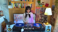 红孩儿 - 爱何求 (DJ阿阳版)车载专用DJ舞曲视频
