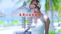 安儿陈 - 失恋以后的寂寞 (DJ版)高清DJ舞曲视频