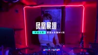 司徒兰芳-凤凰展翅(DJ小黑版)车载mv下载车载dj视频 未知
