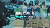 欣宝儿-寂寞的夜伤心的雨(DJ版)车载美女mv歌曲视频 未知 MV音乐在线观看