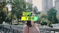 翻唱.刘芳-丁香花 未知 MV音乐在线观看
