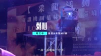 DJ高清MV-常艾非 - 刺心 (DJ光头 FunkyHouse Mix 2023)