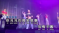 夏奈《乌梅子酱》女版  DJ敏少 KTV 导唱字幕 未知 MV音乐在线观看