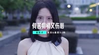 劲爆中文DJ-谢有才-何苦痴情又伤心(DJCandy 2023)(DJ版) 未知 MV音乐在线观看