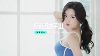 DJ视频mv-海来阿木 - 你的万水千山(Dj阿福 ProgHouse Mix国语男)