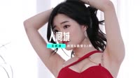 DJ MV-王贰浪-人间城(Dj炮哥 ProgHouse Mix国语女)