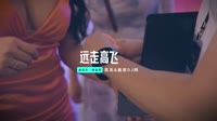 DJ歌曲MV-金志文、徐佳莹 - 远走高飞 (DJ阿福 Remix) 未知 MV音乐在线观看
