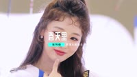 (车载版 Mix)张玮伽-春天里 未知 MV音乐在线观看