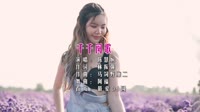 KTV 导唱字幕-陈慧娴 - 千千阕歌 (DJ阿福 2017 Remix) 未知 MV音乐在线观看