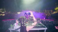 KTV 导唱字幕-张雨生 - 大海(Dj阿福 ProgHouse Mix国语男) 未知 MV音乐在线观看