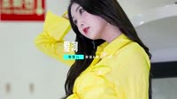 KTV 导唱字幕(DJ车载版 Mix)爱河-DJHouse团队出品