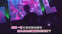 车载mv网-楚颜 - 最痛的惩罚 (DJ沈念版) 未知 MV音乐在线观看