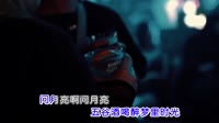 mv视频网-冯海龙 - 问月亮 (DJ默涵Remix)