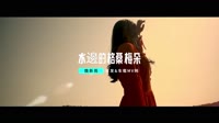 魏新雨 - 水邊的格桑梅朵 - (DJ版) - (1080P)KTV 未知