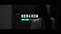 陳瑞+崔偉立 - 你是我永遠的痛 - (DJ版) - (1080P)KTV