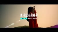 魏新雨 - 水邊的格桑梅朵 - (1080P)KTV 未知 MV音乐在线观看