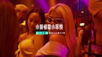 2019 魅力女声歌手小曼情歌小串烧 (DJ何鹏版). 未知 MV音乐在线观看