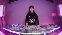 王忻辰 - 触摸 (DJ版)车载视频mv大全下载 未知 MV音乐在线观看