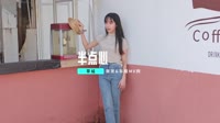 草蜢 - 半点心 (DJ阿福版)DJ高清Mp4下载 未知 MV音乐在线观看