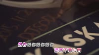 车载MVDJ-刘晓超、孙茹雪 - 心雨 (DJ默涵版) 未知 MV音乐在线观看