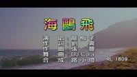 龍梅子 - 海鷗飛 - (DJ修改版) - (1080P)KTV 未知 MV音乐在线观看