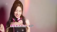李潇潇 - 乘风来 (DJ版)DJ高清Mp4下载