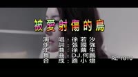 徐若汐 - 被愛射傷的鳥 - (DJ版) - (1080P)KTV