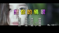 林艷 - 想你的情歌 - (DJ版) - (1080P)KTV