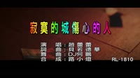 趙蕾蕾 - 寂寞的城傷心的人 - (DJ版) - (1080P)KTV