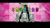 任妙音 - 不想今生失去你 - (DJ二版) - (1080P)KTV 未知 MV音乐在线观看