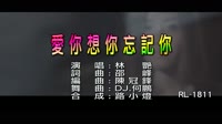 林艷 - 愛你想你忘記你 - (DJ版) - (1080P)KTV 未知 MV音乐在线观看