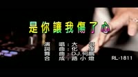 大河 - 是你讓我傷了心 - (DJ版) - (1080P)KTV 未知 MV音乐在线观看