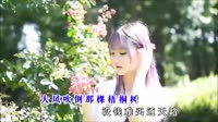 侯泽润 - 大风吹倒梧桐树 (DJ EVA版)车载mv网