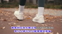 侯泽润 - 聪明的人嘴甜 (DJ阿本版)歌曲mv下载